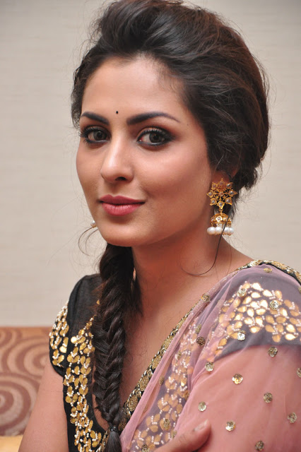 Telugu Actress Madhu Shalini Latest Pics In Pink Saree 79